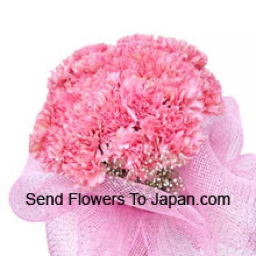 Cute 25 Pink Carnations