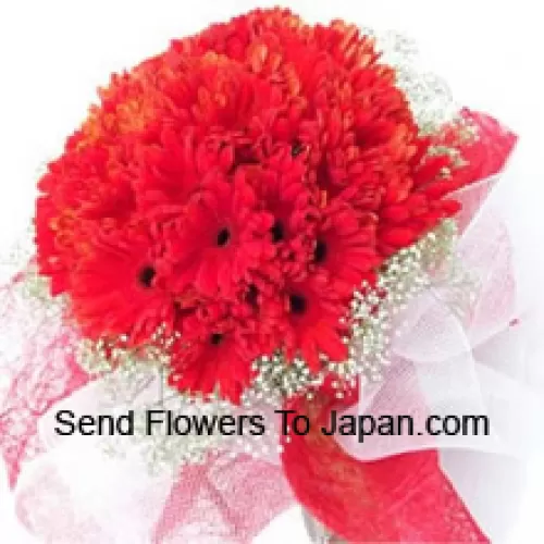 باقة جميلة تحتوي على 37 زهرة جربيرا حمراء مع ملء الموسمي