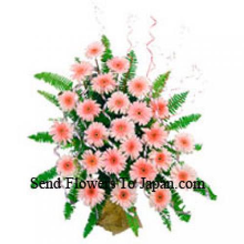 25 Cute Pink Gerberas