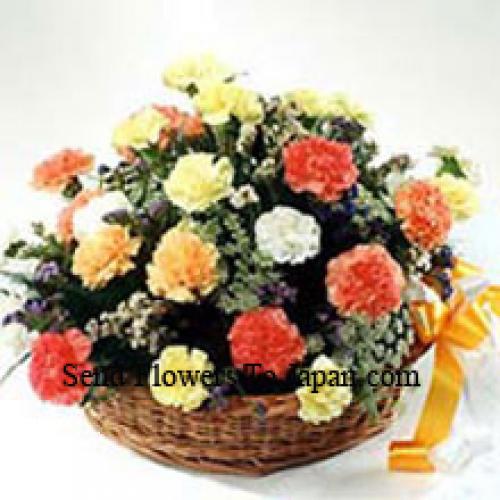 Elegant 25 Mixed Carnations