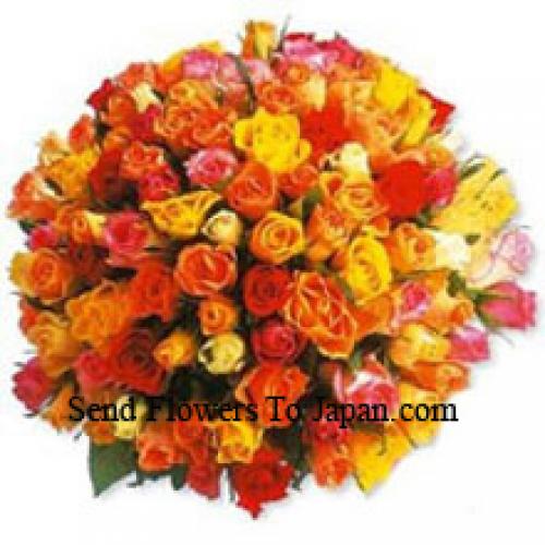 101 Lovely Mixed Roses