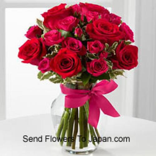 19 Cute Red Roses with Pink Bow