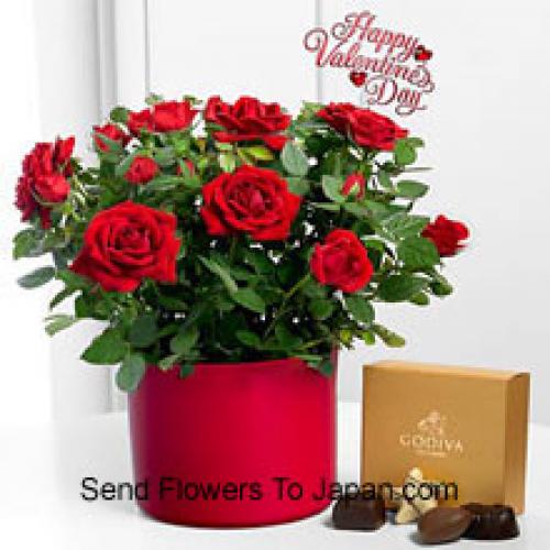 25 Red Roses with Yummy Godiva Chocolates